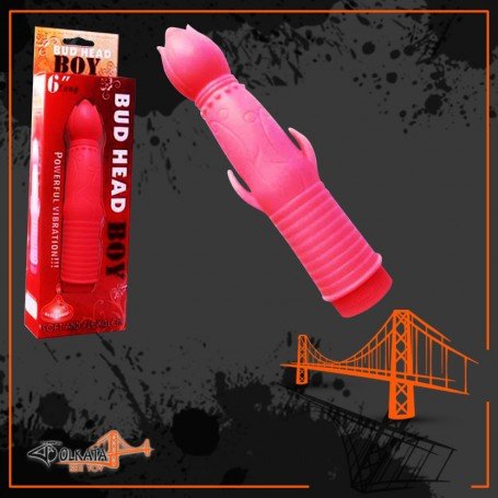 Bud Head Boy Fun Vibrator FV-001