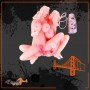 Double Fucking Doll SLD-001