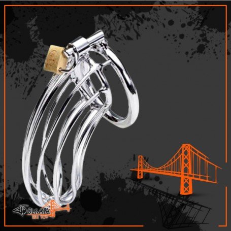 Stainless Steel Iron Wire Male Chastity Lock BDSM-016