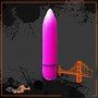 Female Purse Vibrator RSV-004